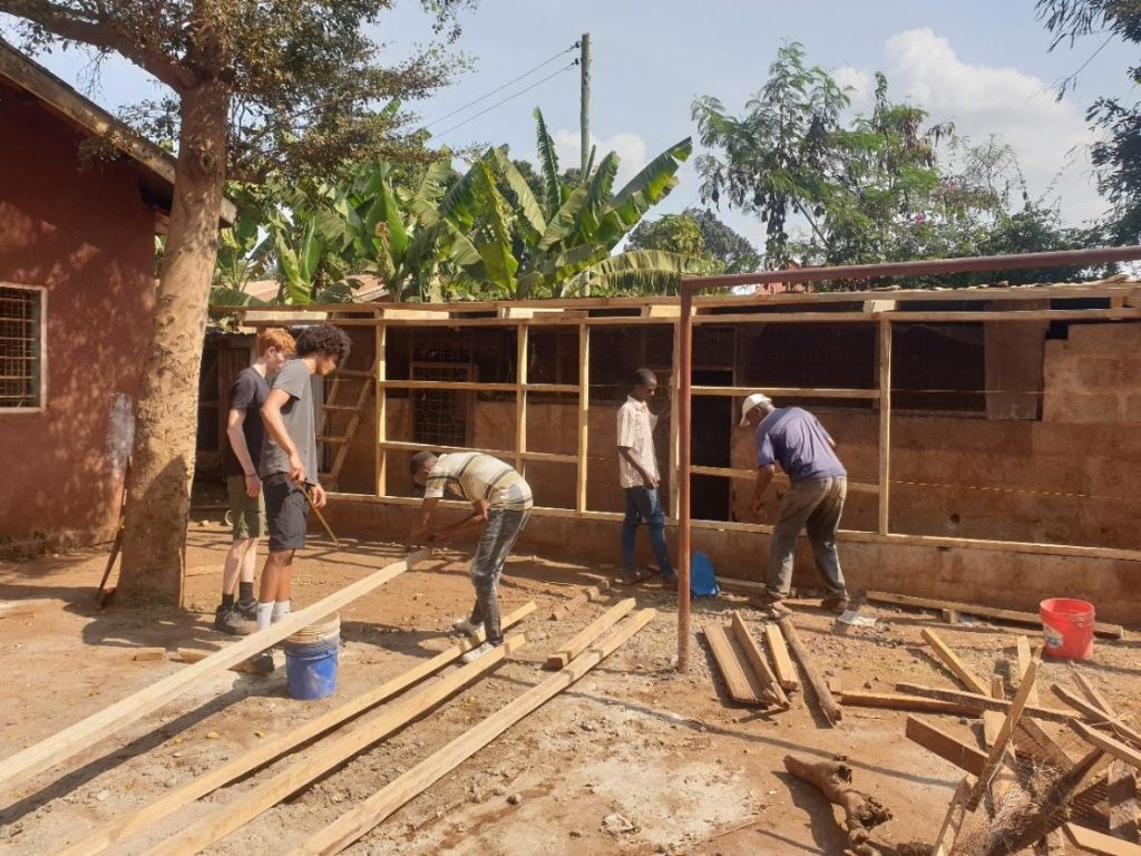 Renovating the Chicken house
